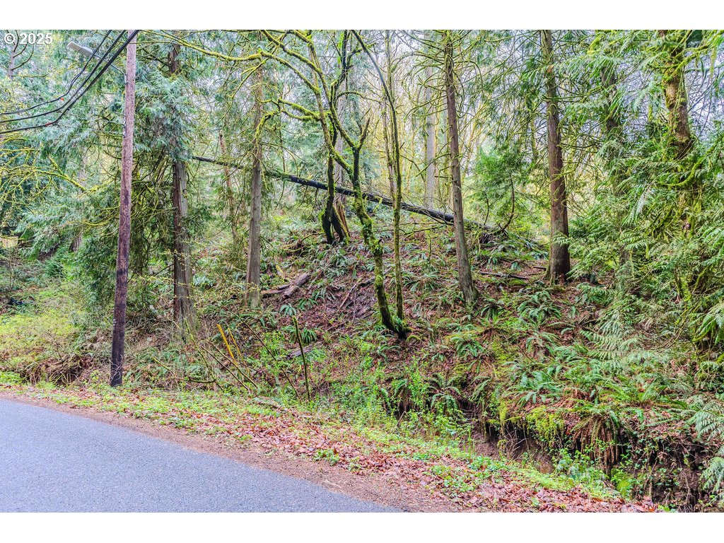 6933 Southeast Barbara Welch Road Portland, OR 97236 - Photo 11 of 18