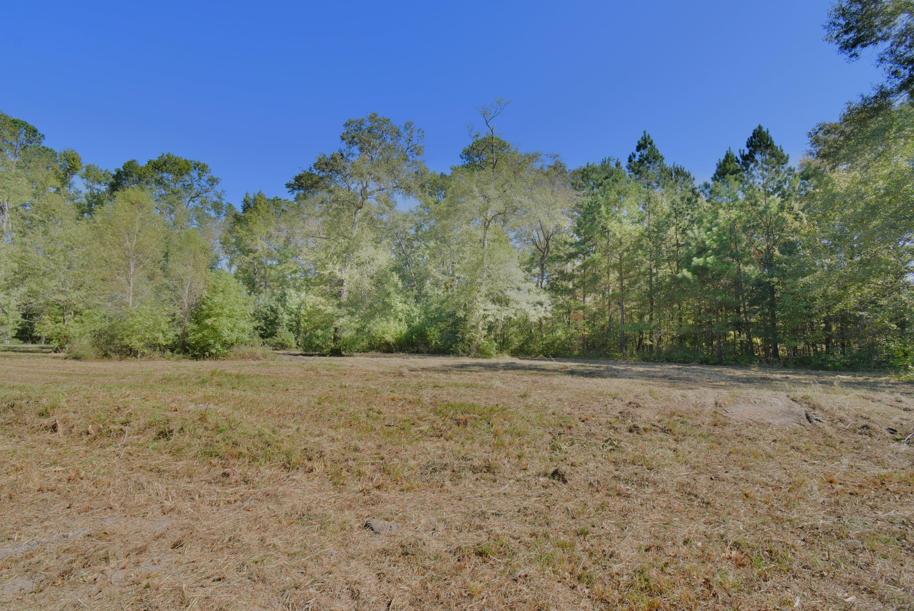 215 Frog Hollow Road Varnville, SC 29944 - Photo 10 of 13 2024-10-11 11.38.16