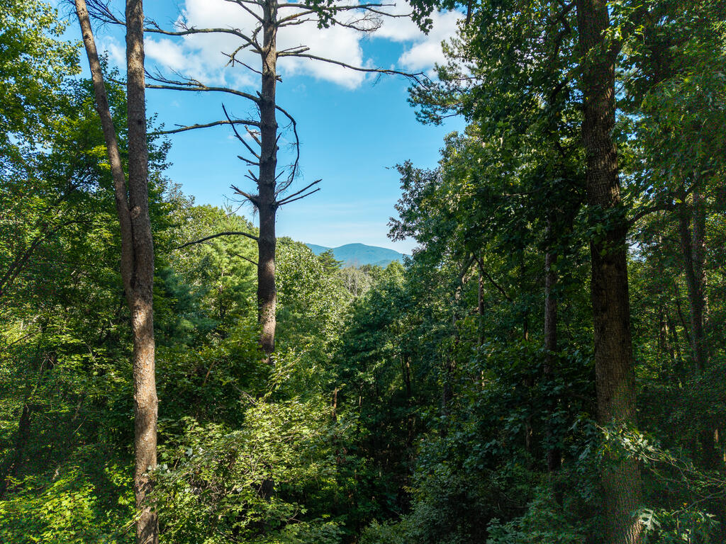358 North Ridge Drive Ellijay, GA 30540 - Photo 54 of 57 Gallery Image 54