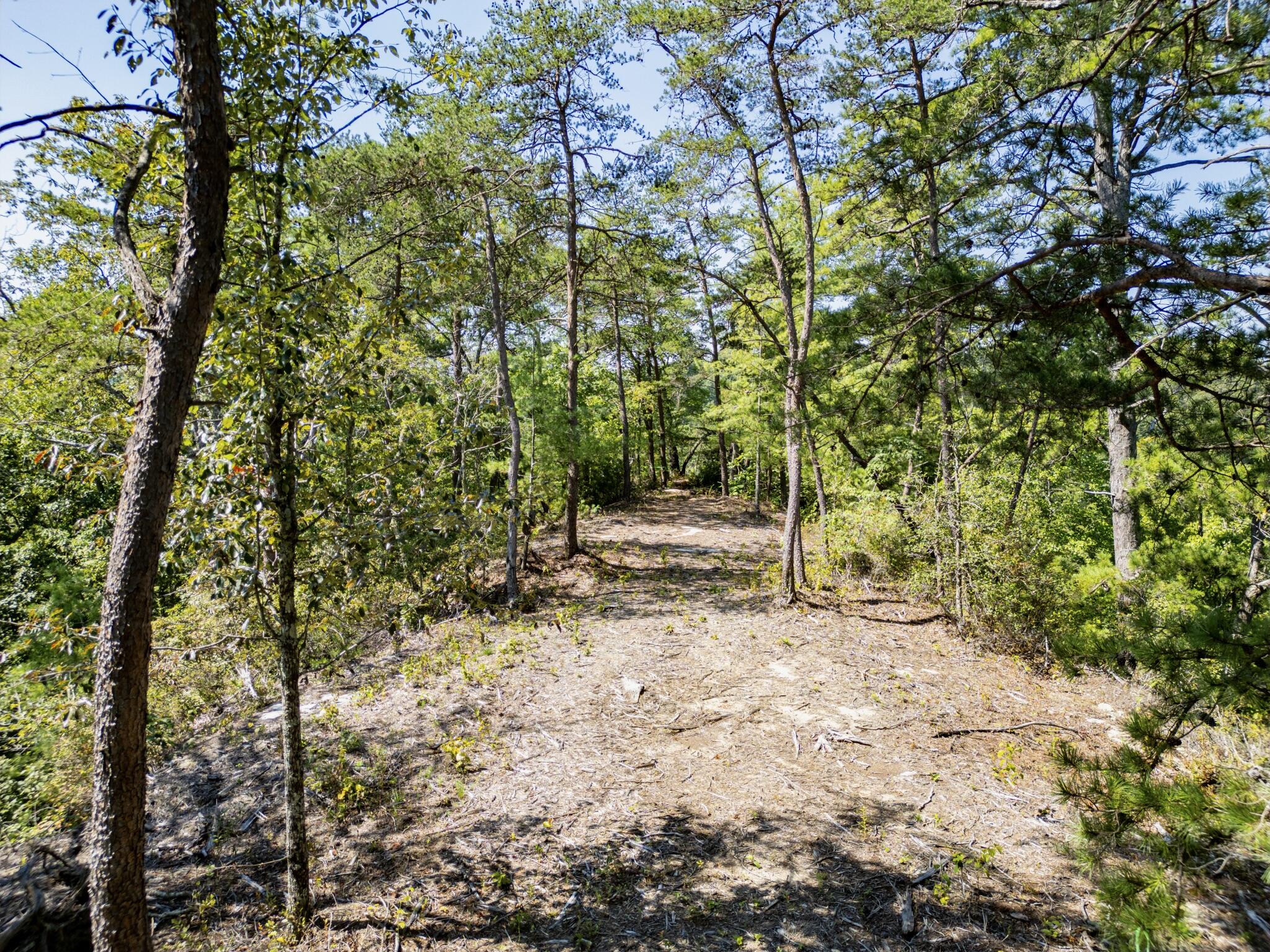 Highlands Of Rrg Lot 646 Highlands Of Rrg Trail Zoe, KY 41397 - Photo 16 of 19 DJI_0712-Enhanced-SR