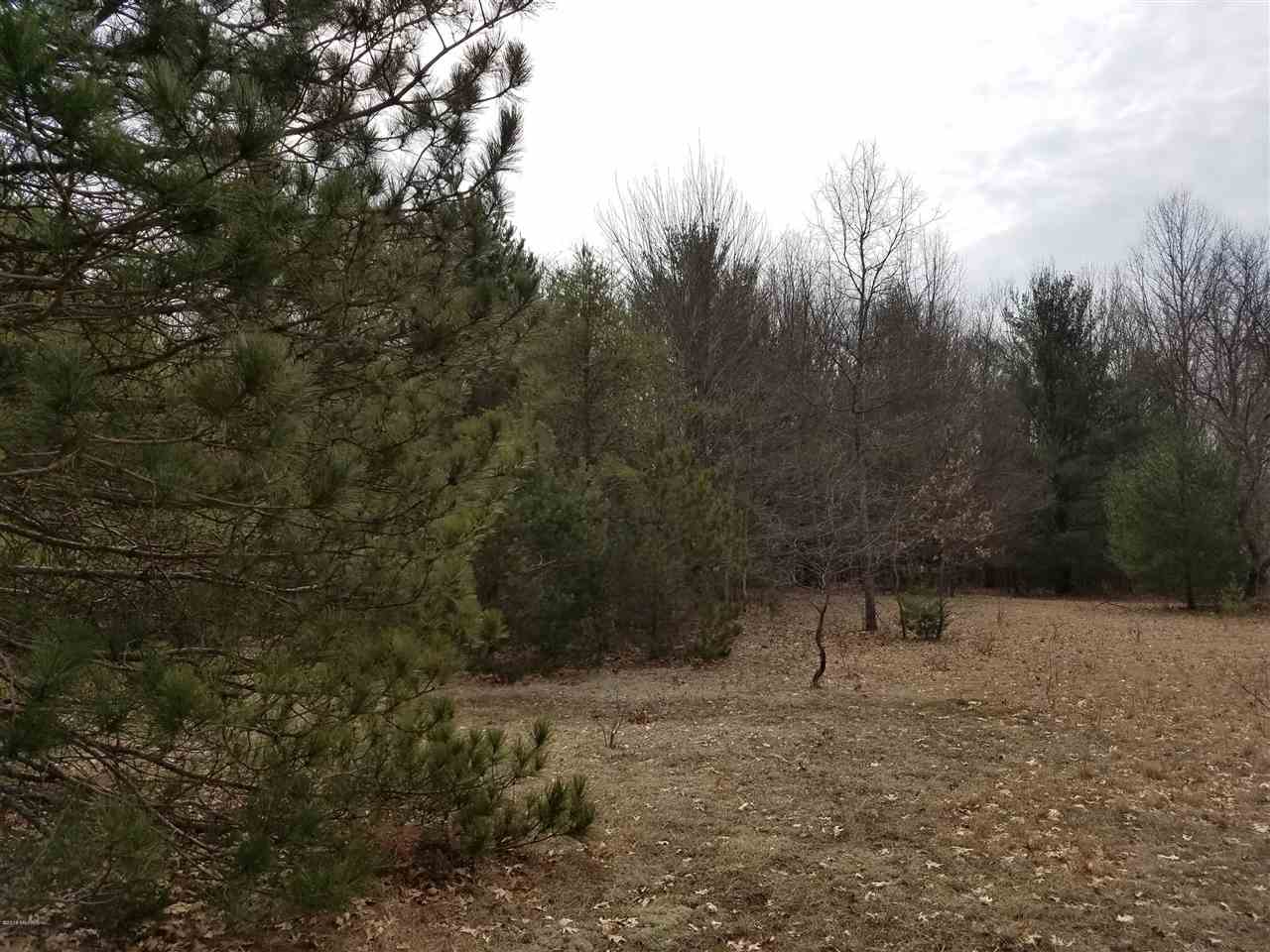 0 East White Road New Era, MI 49446 - Photo 6 of 6