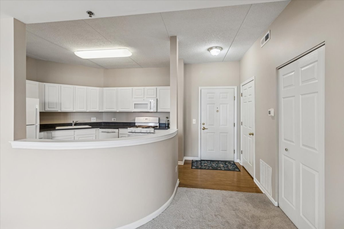 3100 Town Square Drive, Unit 308 Rolling Meadows, IL 60008 - Photo 2 of 20