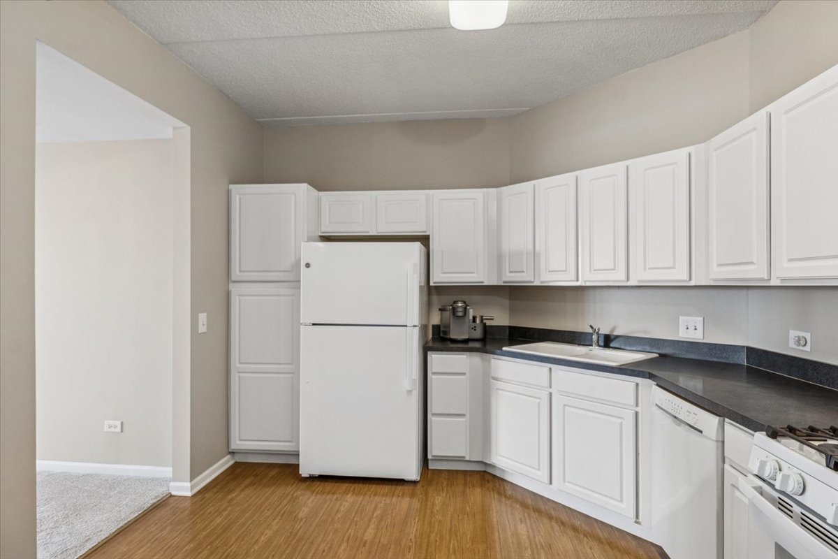 3100 Town Square Drive, Unit 308 Rolling Meadows, IL 60008 - Photo 3 of 20