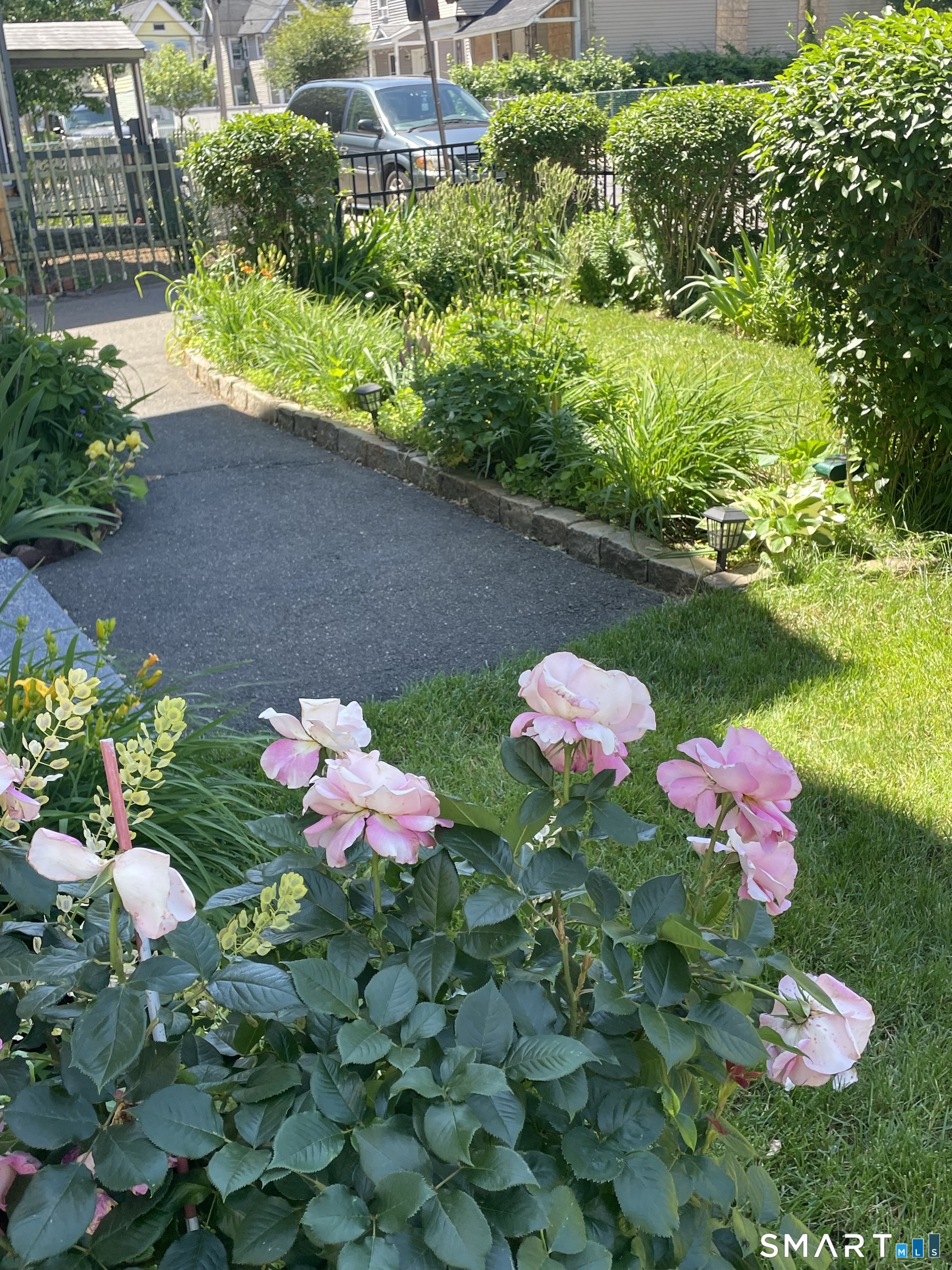 11 Button Street New Haven, CT 06519 - Photo 4 of 18 a bunch of flowers sitting in a garden