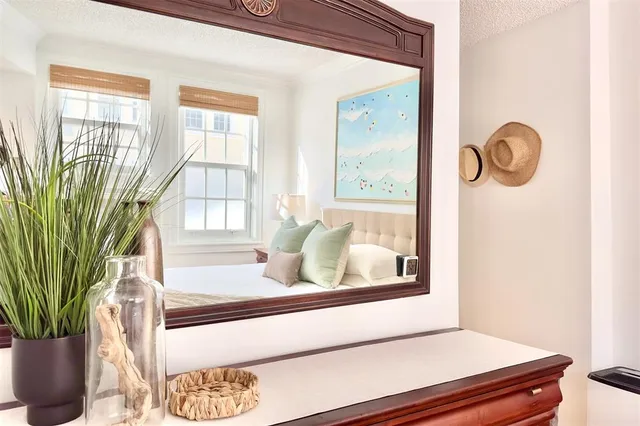 a living room with a window and a potted plant