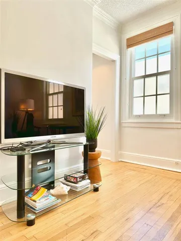 a living room with wooden floor and potted plant