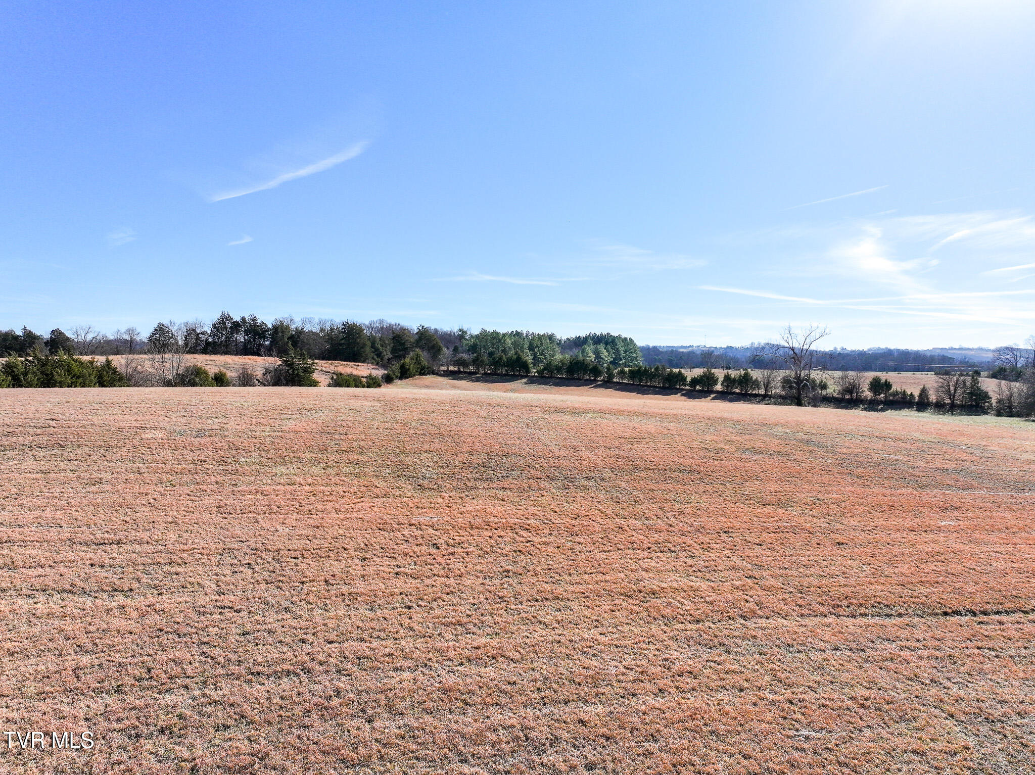 1255 Carpenters Chapel Road Mosheim, TN 37818 - Photo 11 of 38 DJI_20251218152840_0198_D