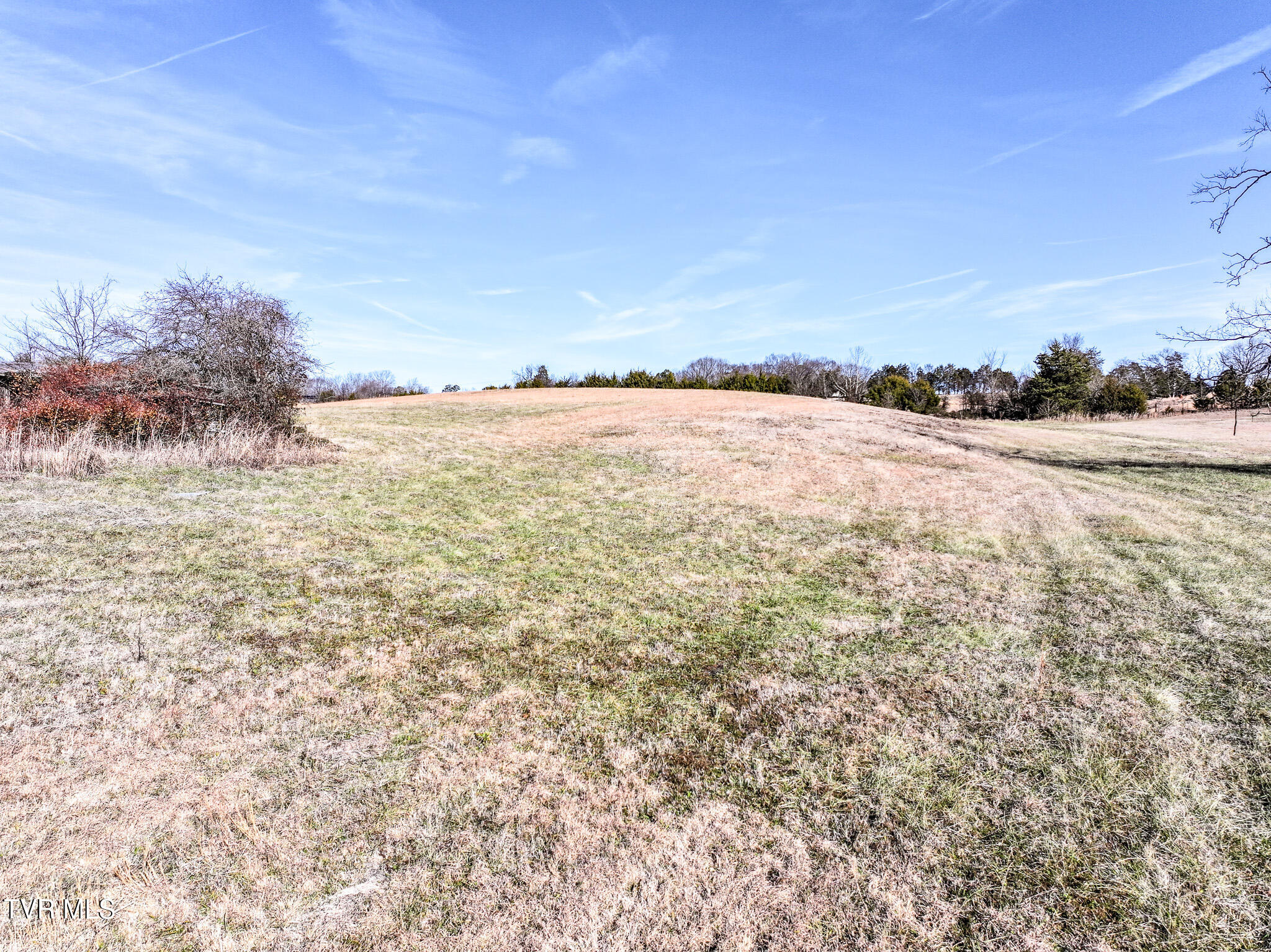 1255 Carpenters Chapel Road Mosheim, TN 37818 - Photo 14 of 38 DJI_20251218152133_0180_D