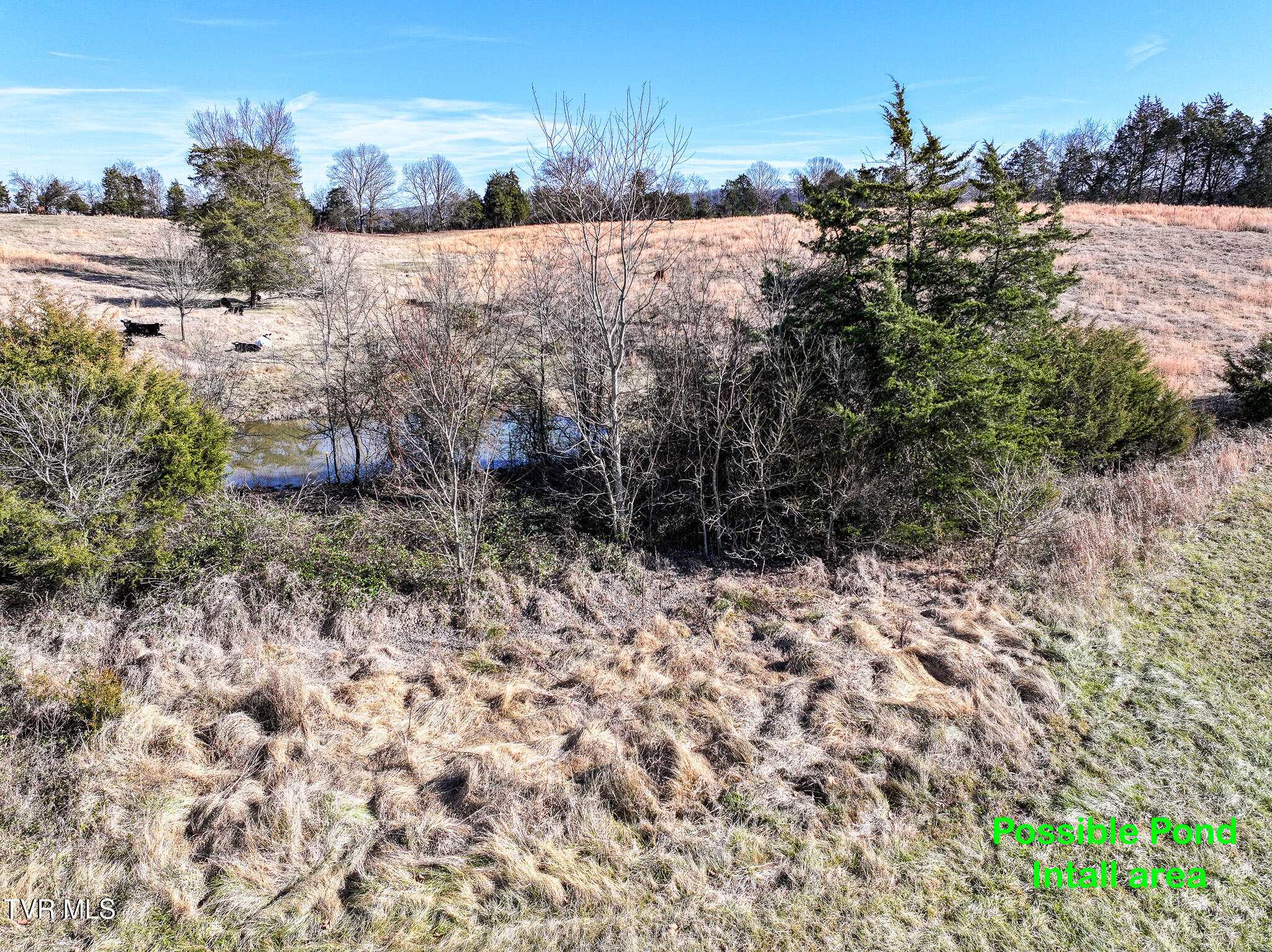 1255 Carpenters Chapel Road Mosheim, TN 37818 - Photo 28 of 38 DJI_20251218152925_0202_D-Edit