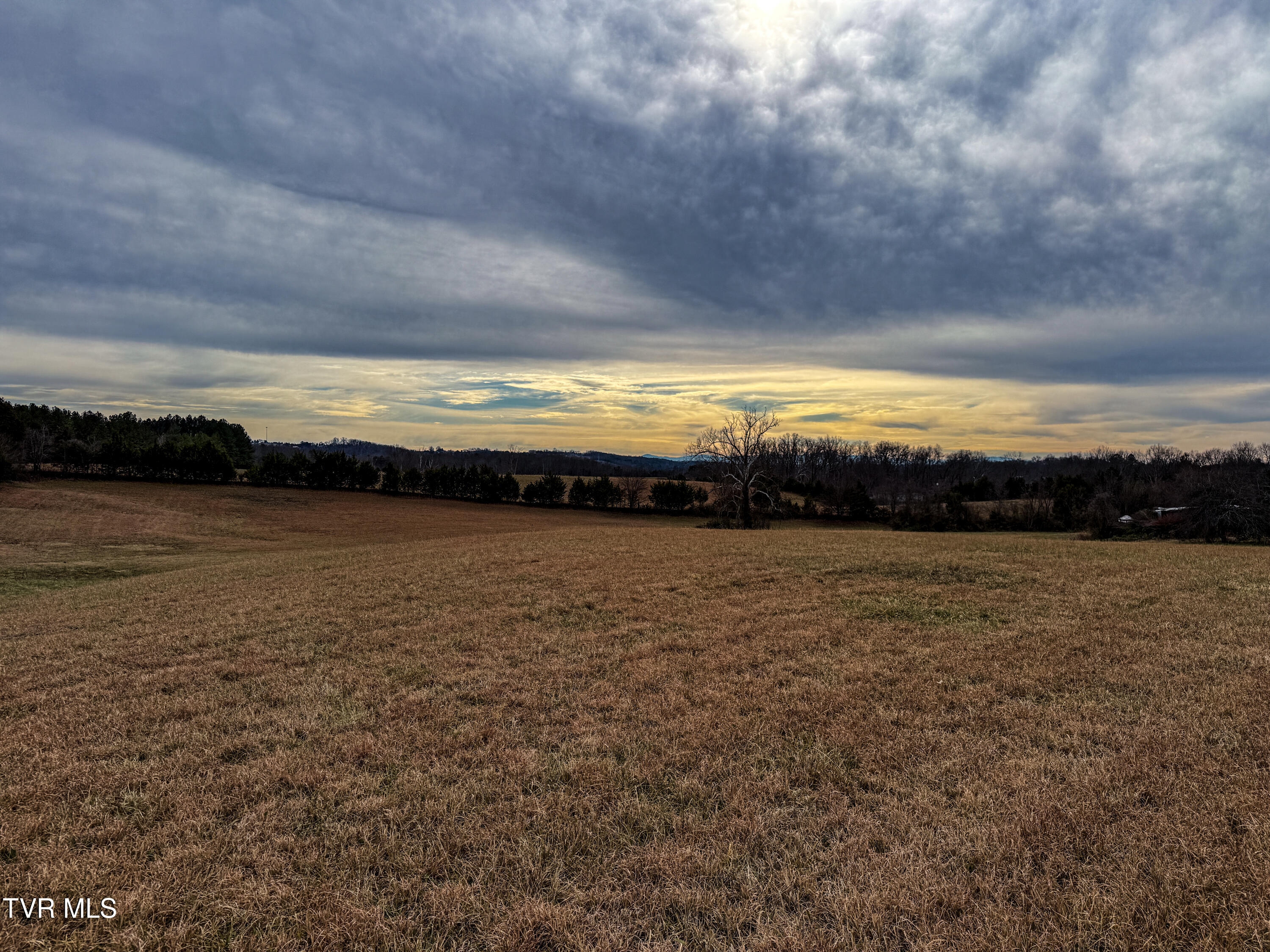 1255 Carpenters Chapel Road Mosheim, TN 37818 - Photo 33 of 38 IMG_5942