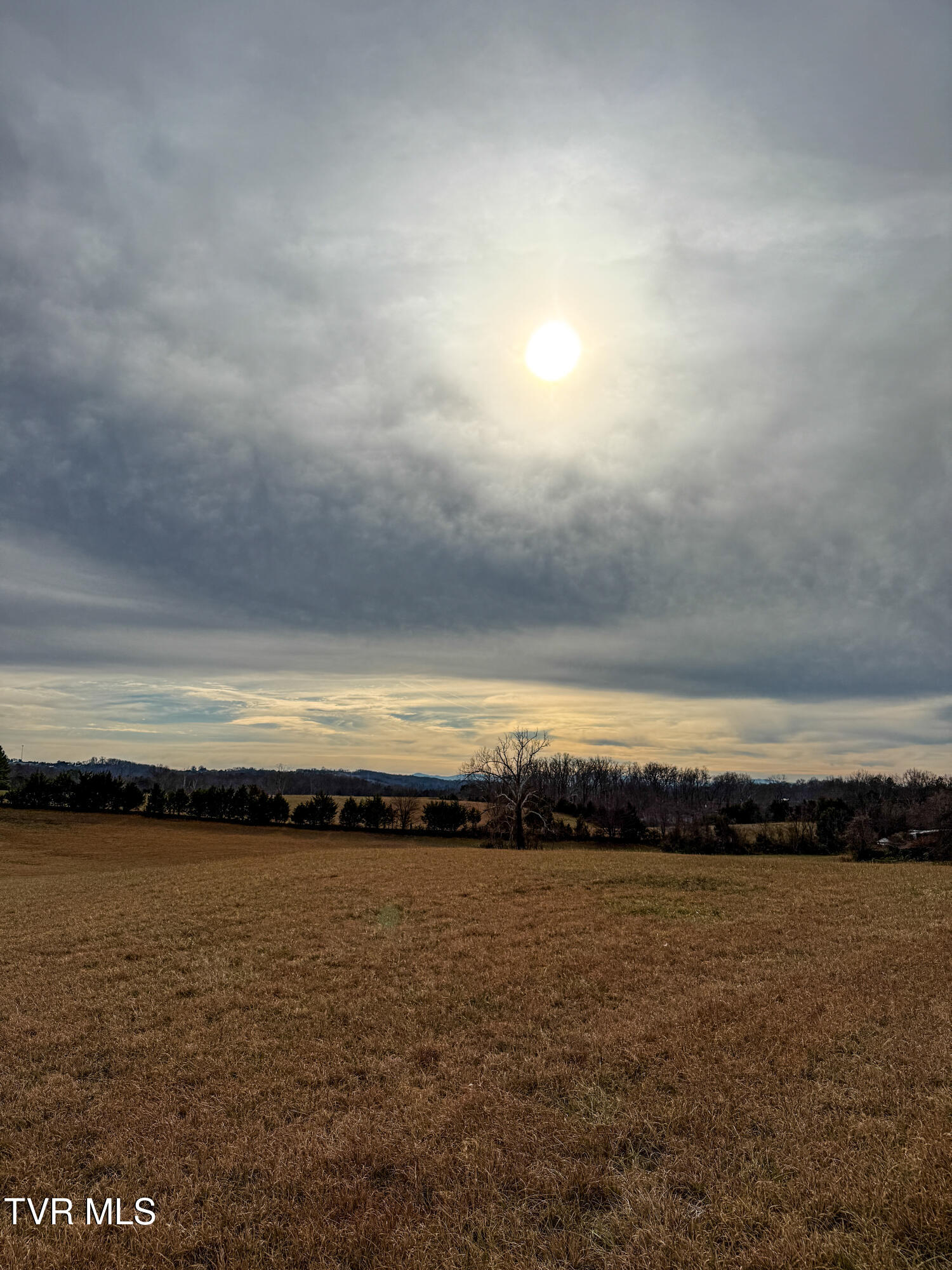 1255 Carpenters Chapel Road Mosheim, TN 37818 - Photo 36 of 38 IMG_5948