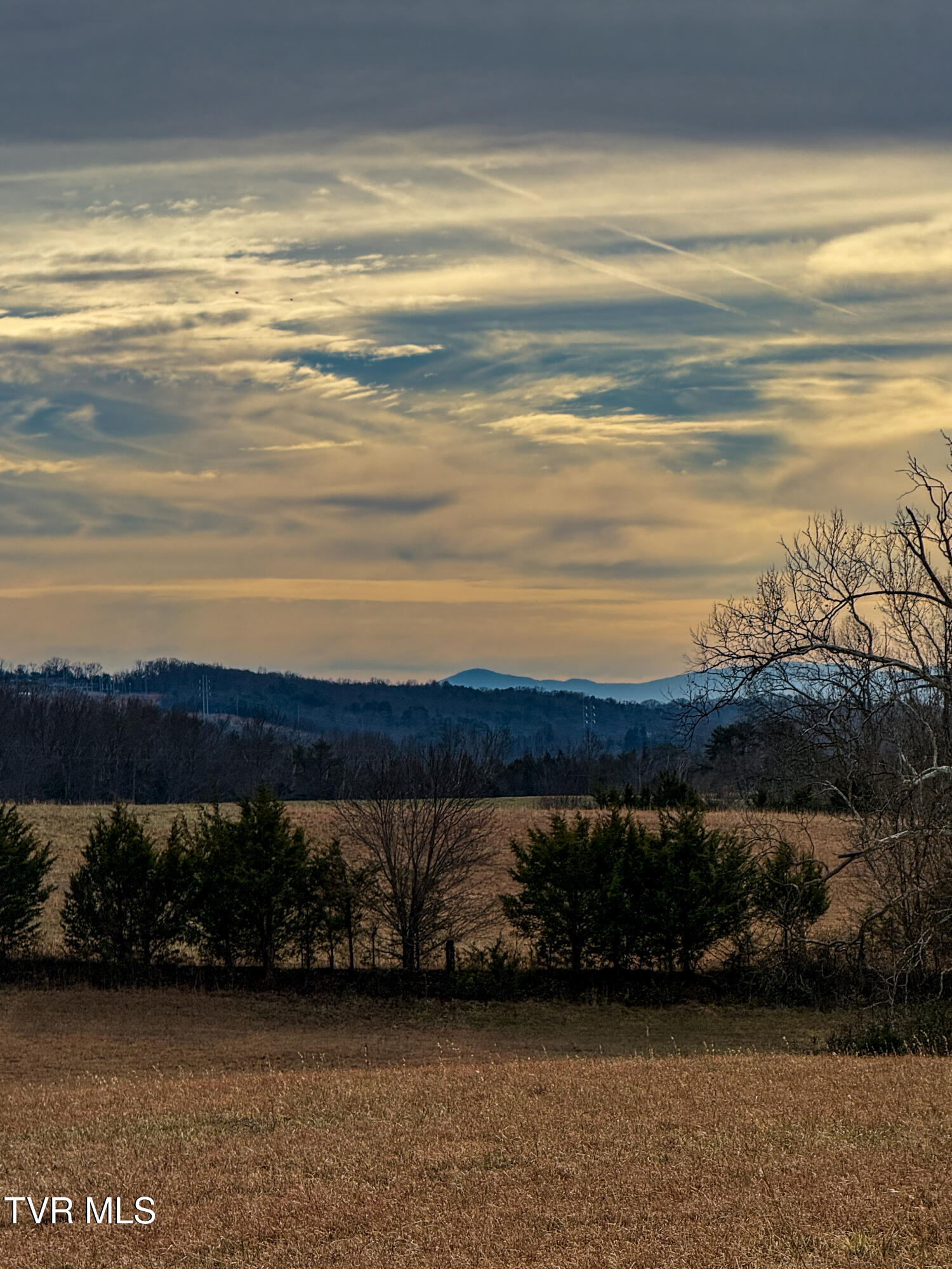 1255 Carpenters Chapel Road Mosheim, TN 37818 - Photo 38 of 38 IMG_5950
