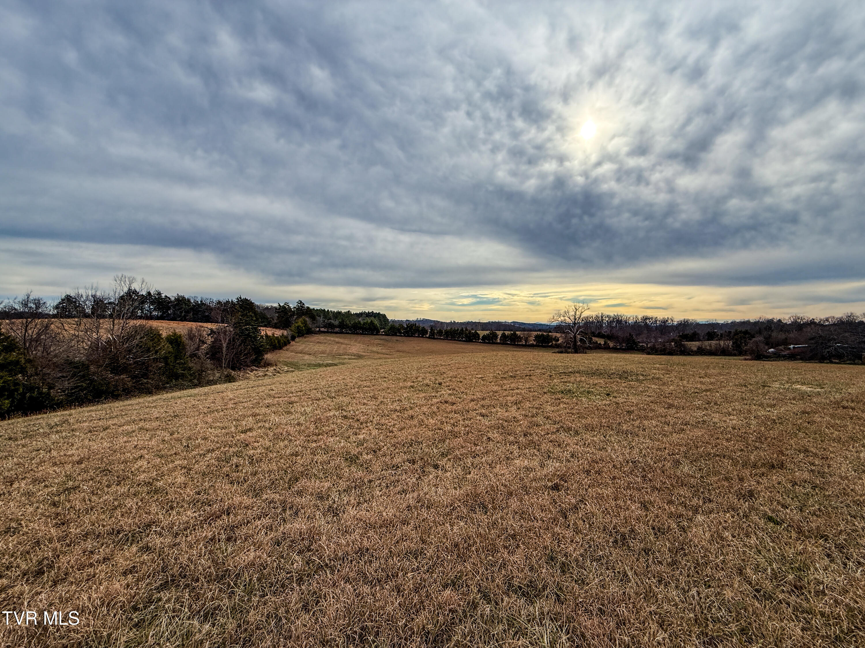 1255 Carpenters Chapel Road Mosheim, TN 37818 - Photo 5 of 38 IMG_5946