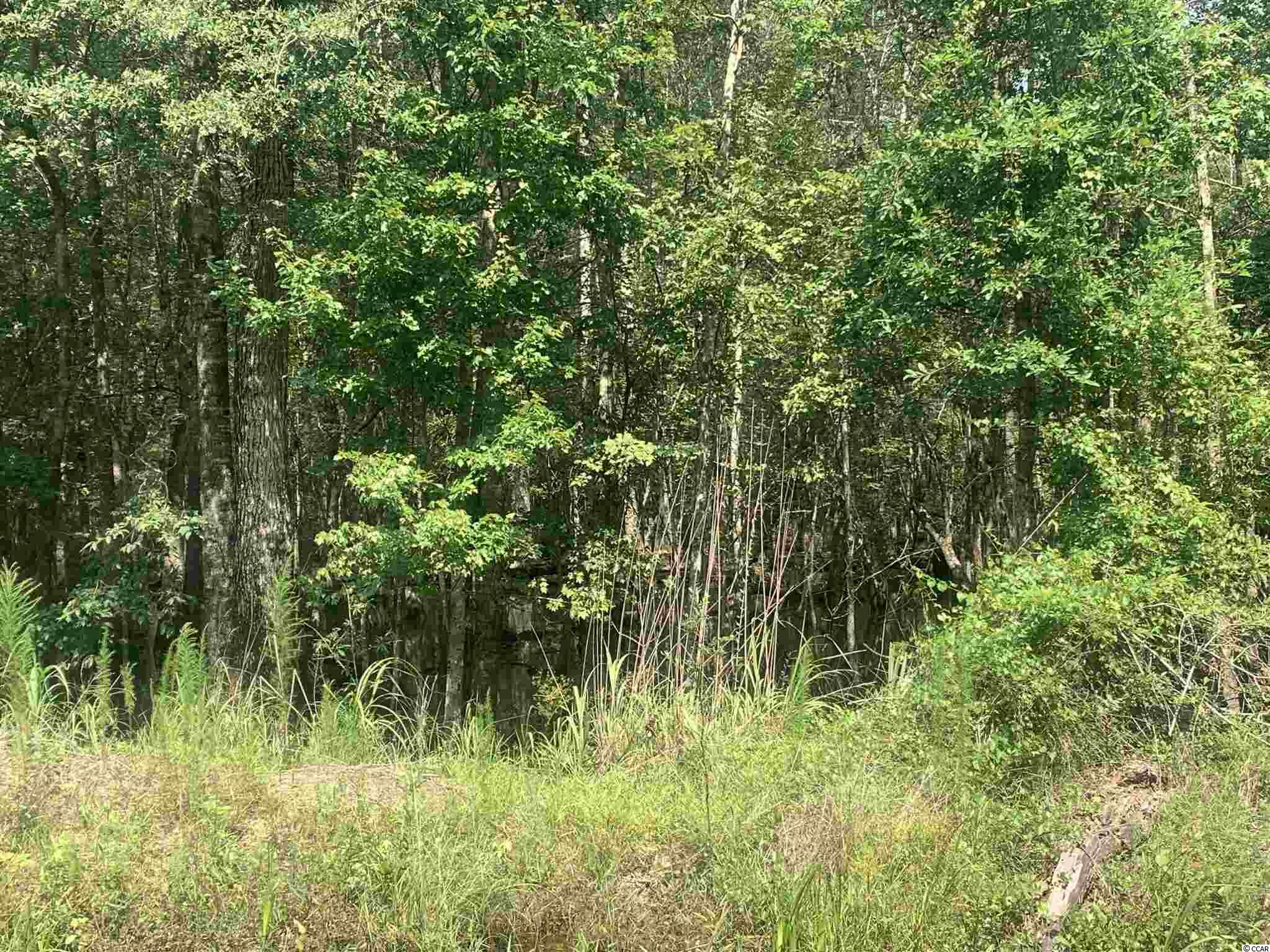 Tbt Tbt Tad Road Andrews, SC 29510 - Photo 1 of 3