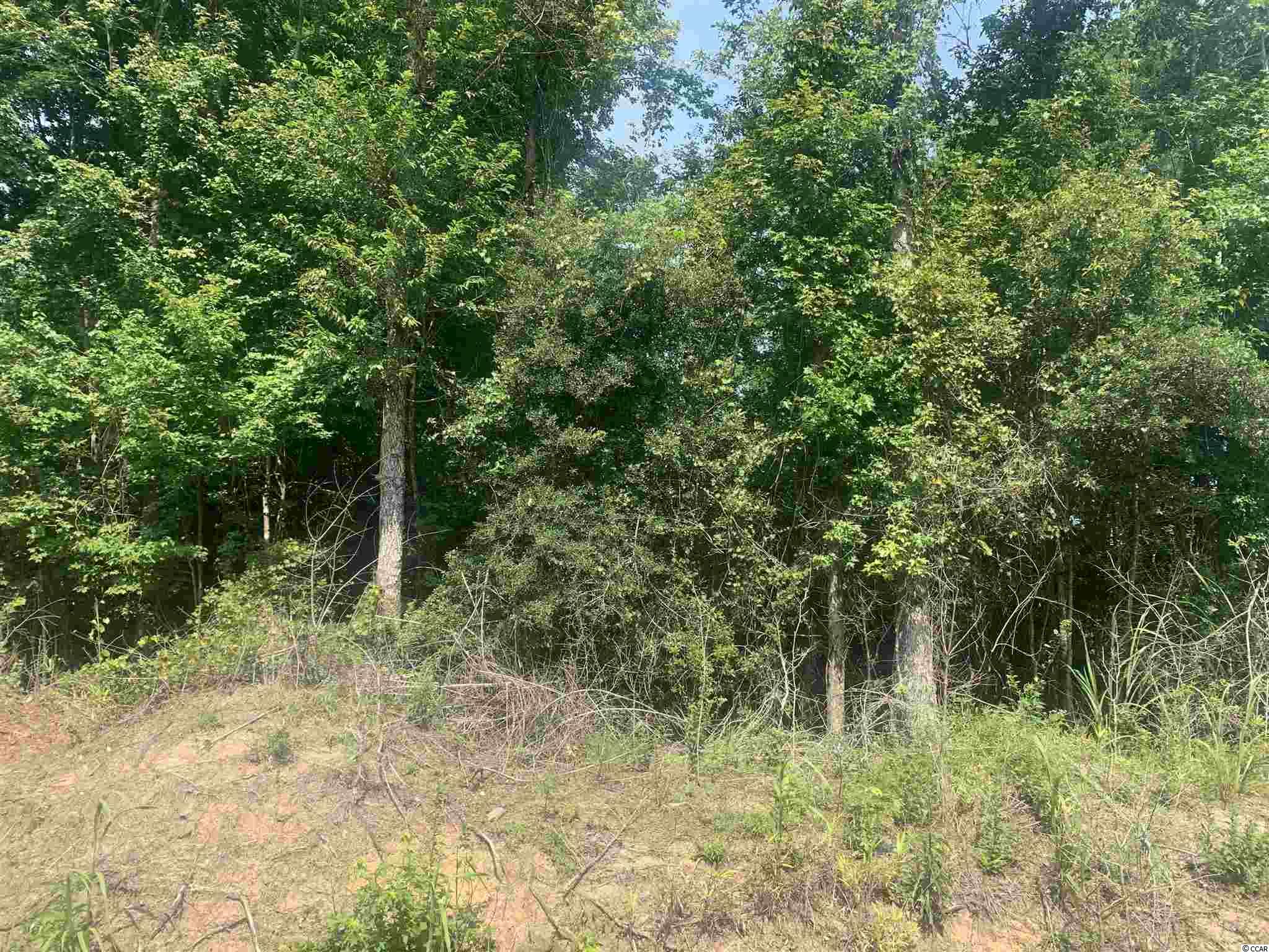 Tbt Tbt Tad Road Andrews, SC 29510 - Photo 2 of 3