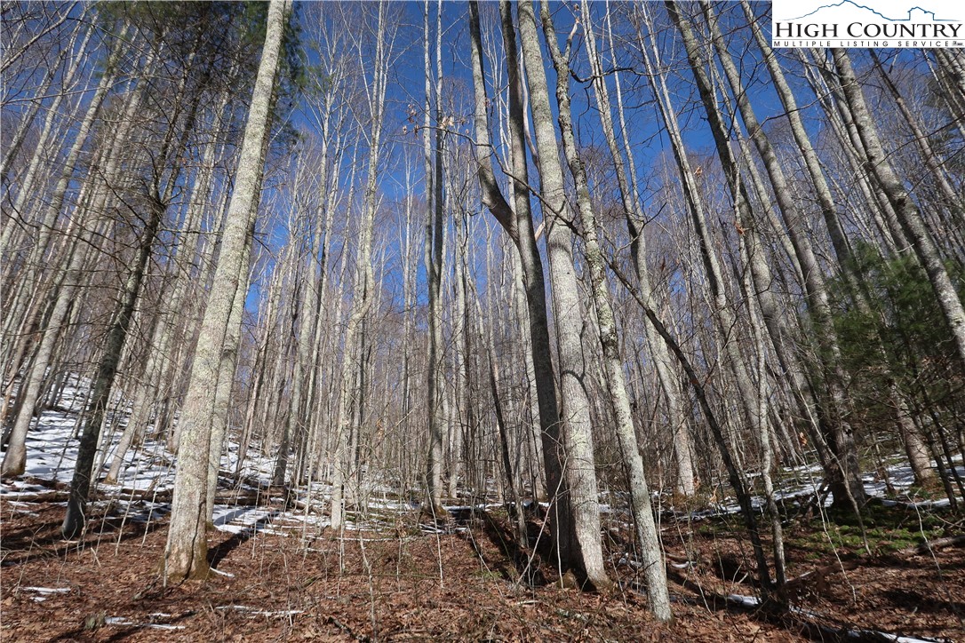 16 Rip Shin And Whenlin Ridge Road Lansing, NC 28643 - Photo 11 of 11