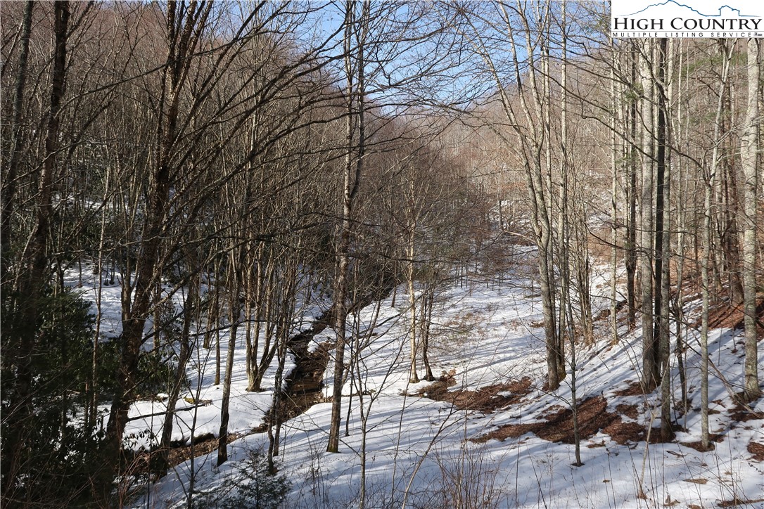 16 Rip Shin And Whenlin Ridge Road Lansing, NC 28643 - Photo 4 of 11