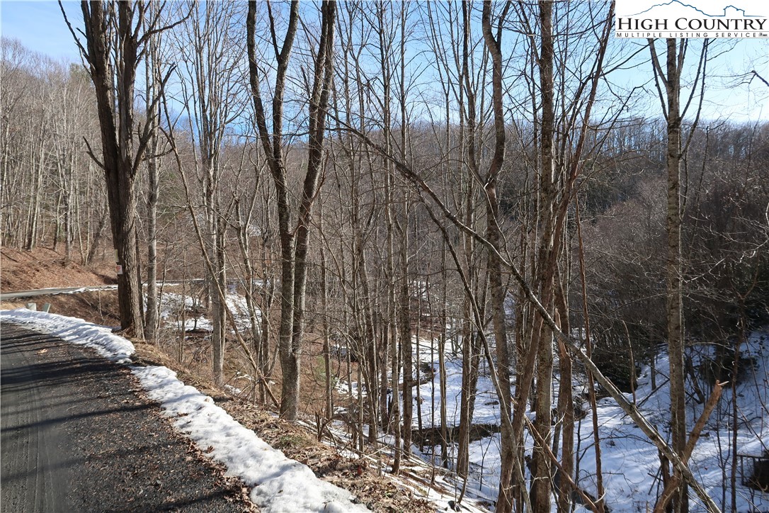 16 Rip Shin And Whenlin Ridge Road Lansing, NC 28643 - Photo 5 of 11