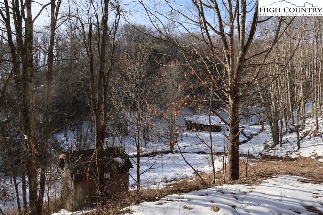 16 Rip Shin And Whenlin Ridge Road Lansing, NC 28643 - Photo 6 of 11