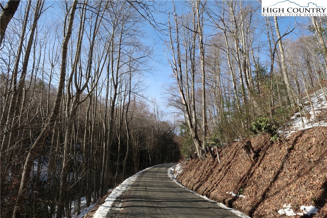 16 Rip Shin And Whenlin Ridge Road Lansing, NC 28643 - Photo 10 of 11