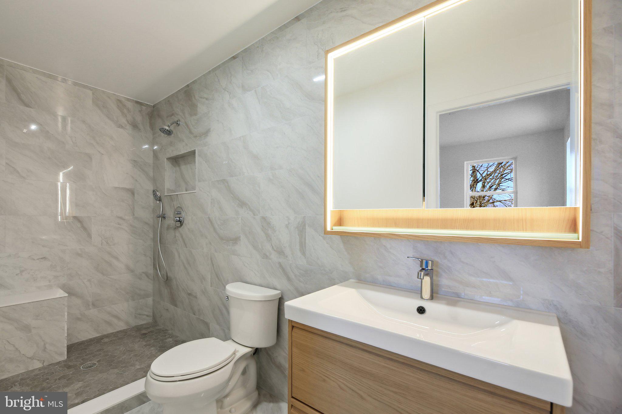 8325 Grove Angle Road Ellicott City, MD 21043 - Photo 34 of 57 a bathroom with a sink a toilet and shower