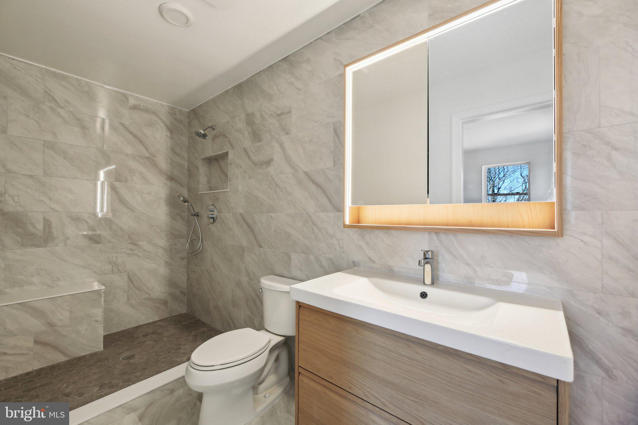 8325 Grove Angle Road Ellicott City, MD 21043 - Photo 41 of 57 a bathroom with a sink toilet and shower