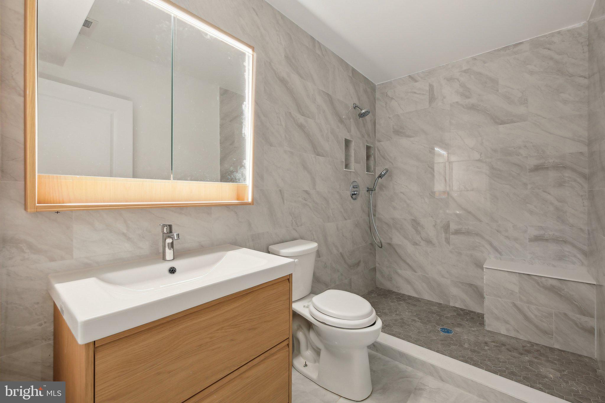 8325 Grove Angle Road Ellicott City, MD 21043 - Photo 43 of 57 a bathroom with a sink a toilet and shower