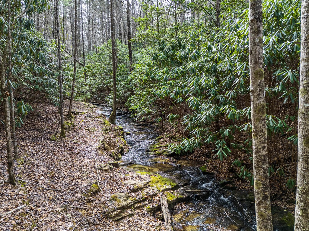 325 Trickling Branch Way Murphy, NC 28906 - Photo 41 of 58