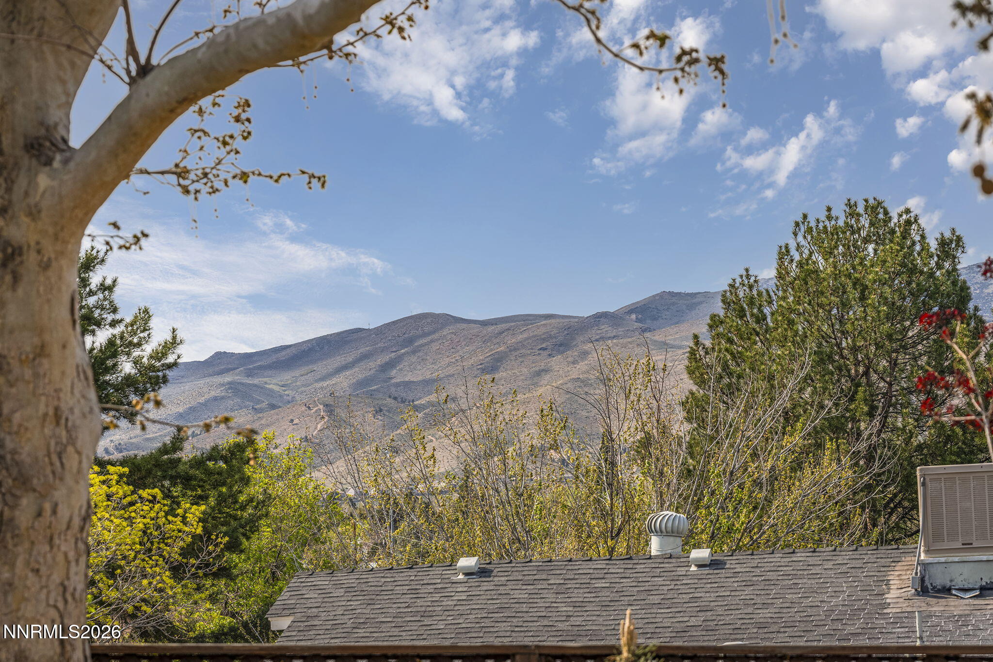 875 Montana Drive Reno, NV 89503 - Photo 17 of 21 17-web-or-mls-_DSC2060