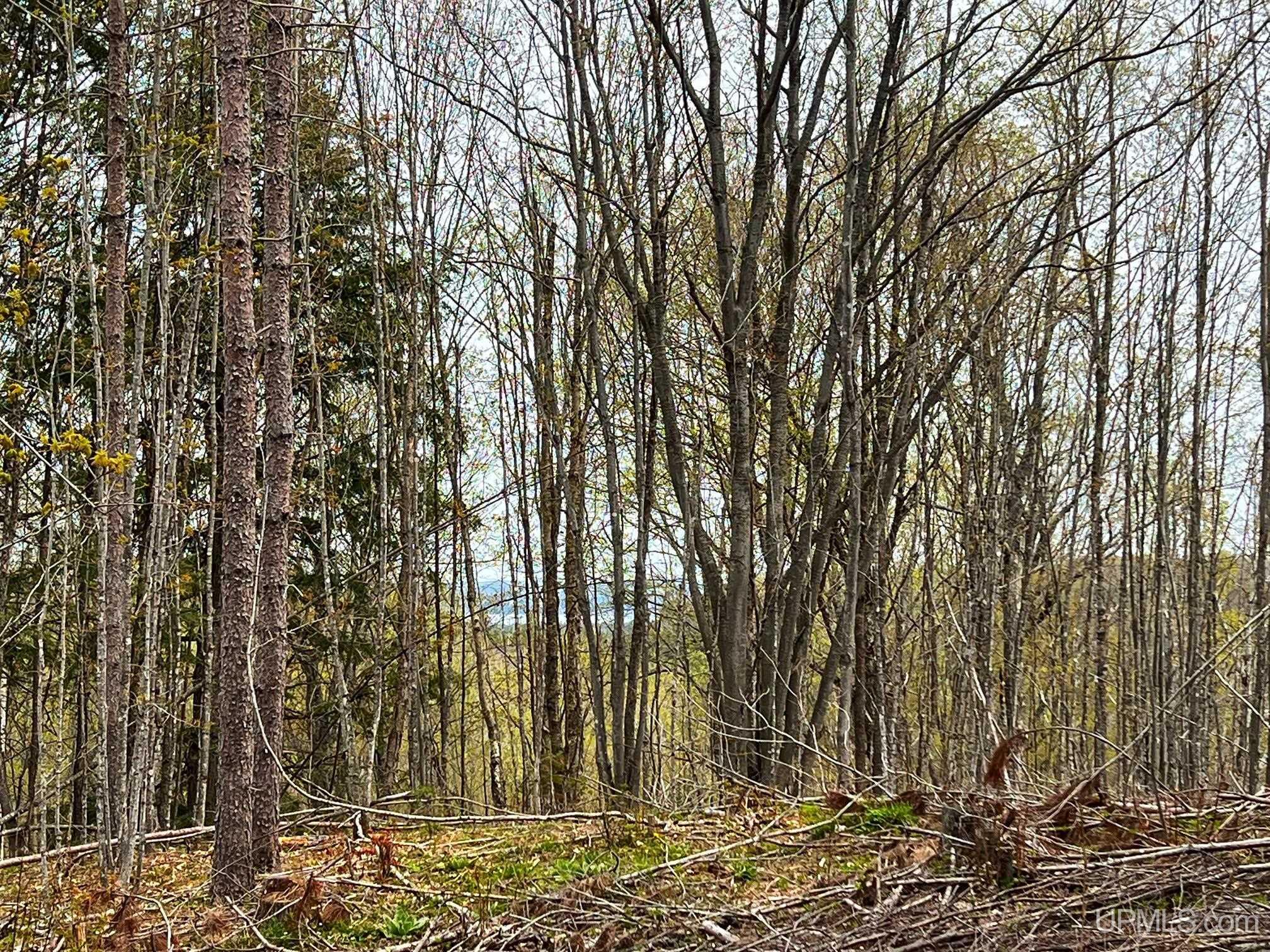 Tbd80 Tbd80 Off Baraga Plains Road Baraga, MI 49908 - Photo 17 of 25 Gallery Image 17