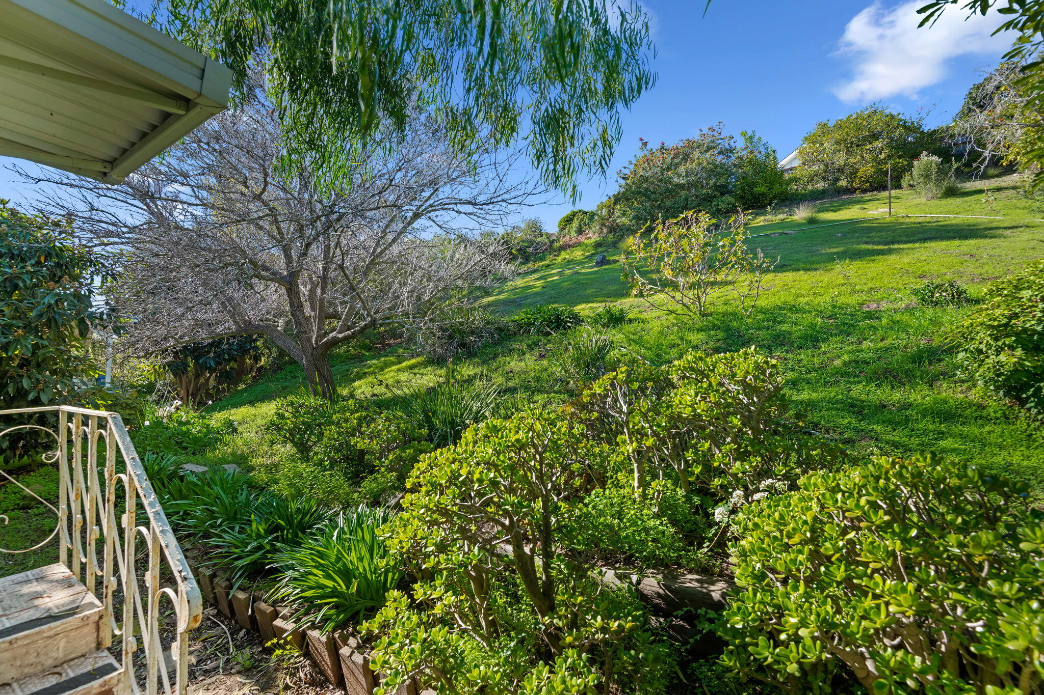 333 Old Mill Road, Unit 317 Santa Barbara, CA 93110 - Photo 11 of 12 a view of outdoor space and yard