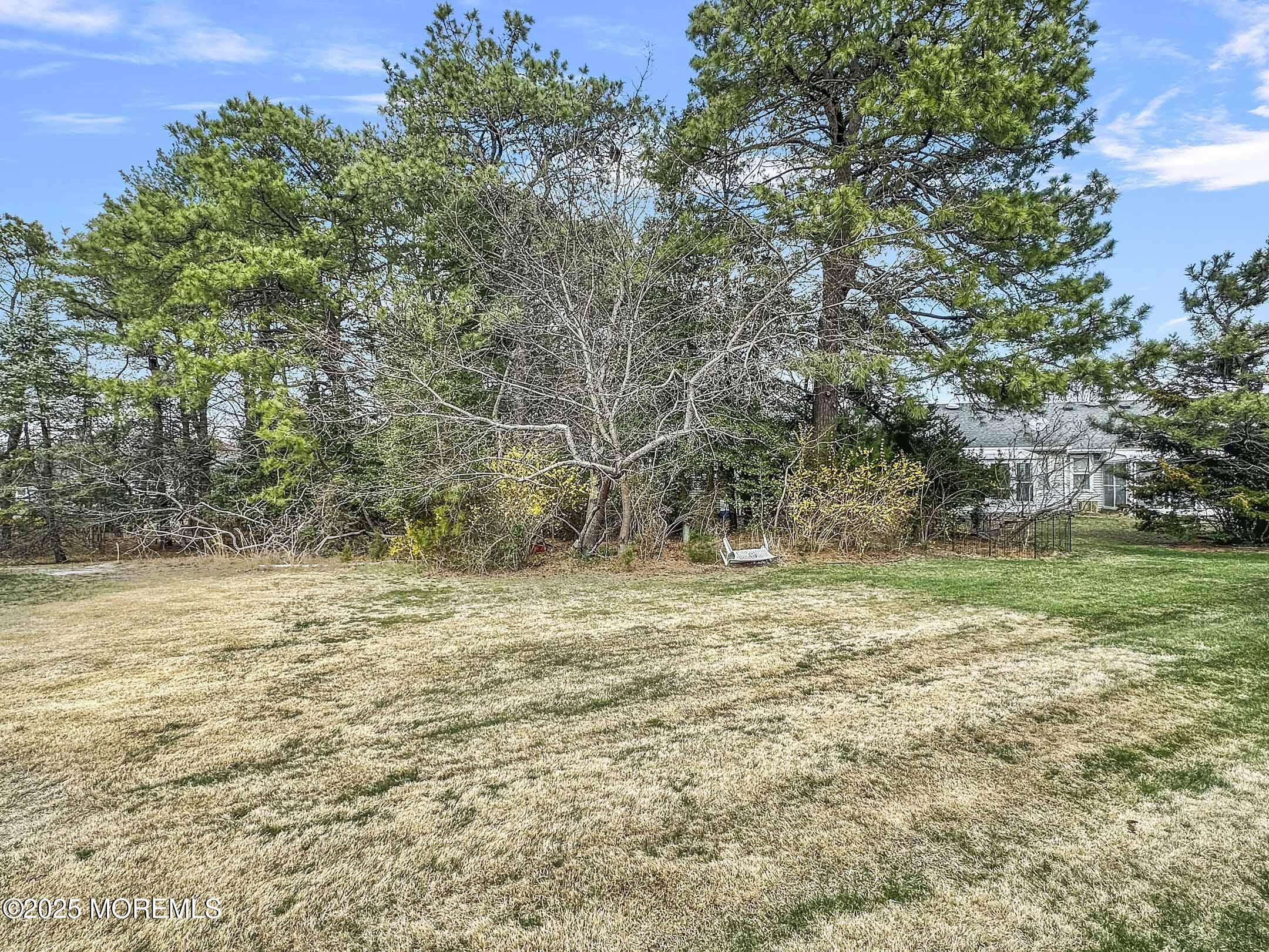 15D Alpine Road, Unit C Whiting, NJ 08759 - Photo 31 of 36 a view of a yard with a tree