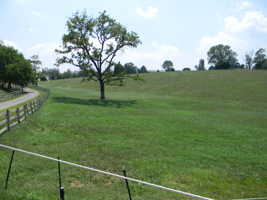 5222 Blacksburg Road Troutville, VA 24175 - Photo 14 of 38 a view of a field with a tree