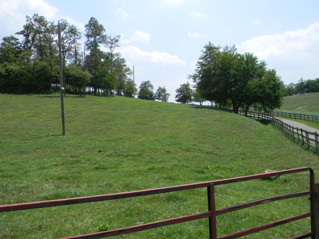 5222 Blacksburg Road Troutville, VA 24175 - Photo 16 of 38 a view of a field with a park