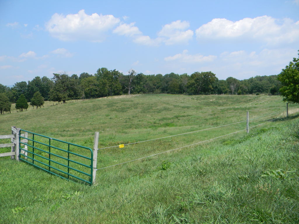 5222 Blacksburg Road Troutville, VA 24175 - Photo 22 of 38 a view of a garden with an outdoor space