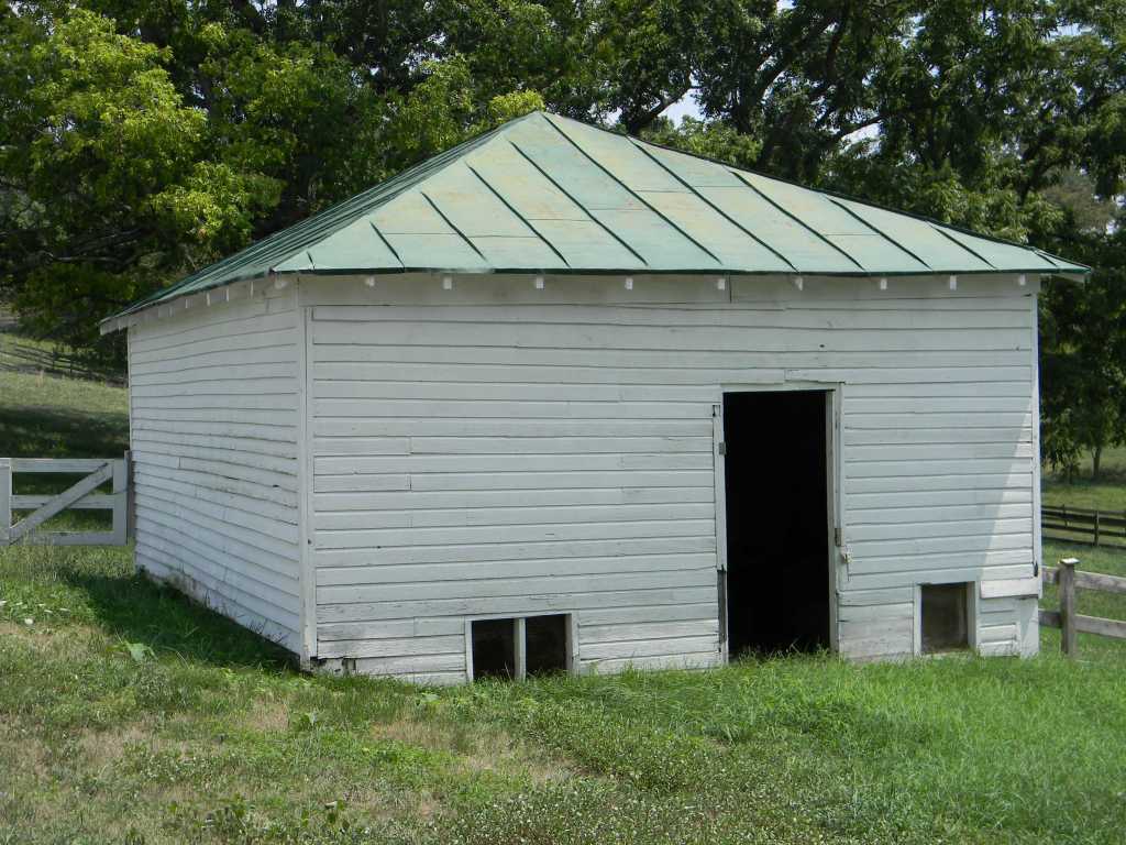 5222 Blacksburg Road Troutville, VA 24175 - Photo 27 of 38 a view of a backyard with plants and large tree