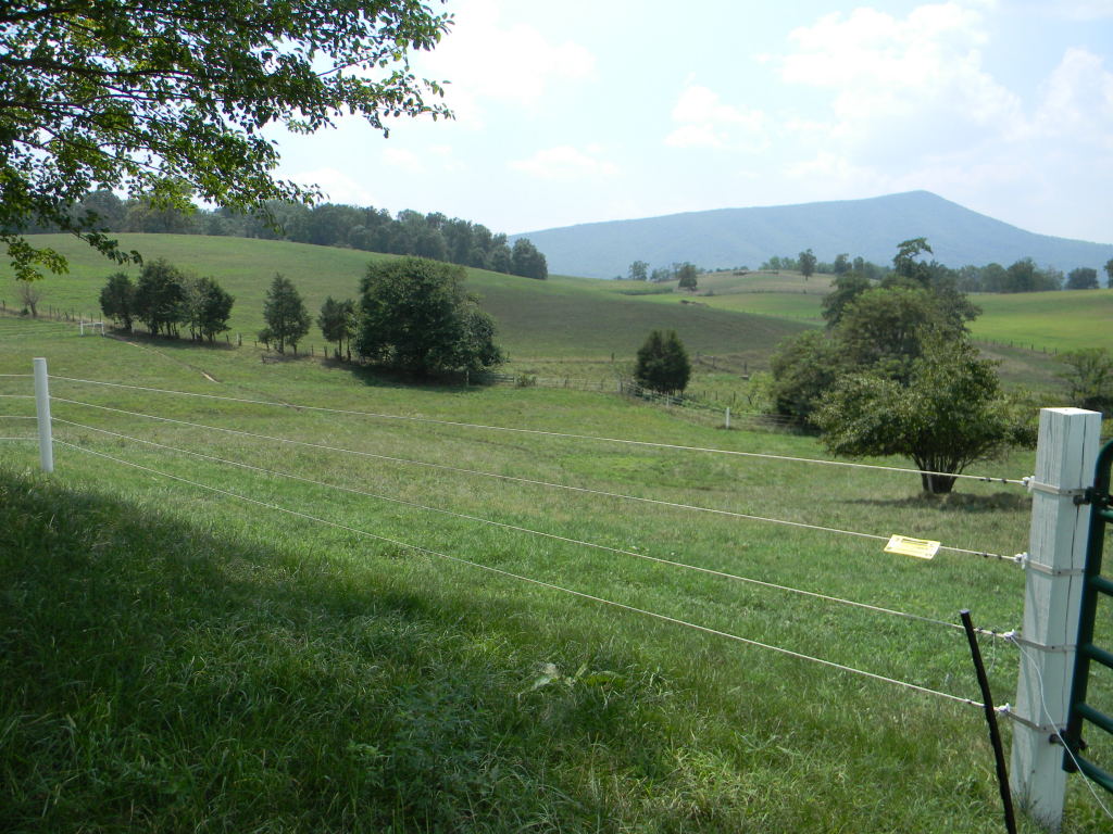 5222 Blacksburg Road Troutville, VA 24175 - Photo 34 of 38 a view of a field with an ocean