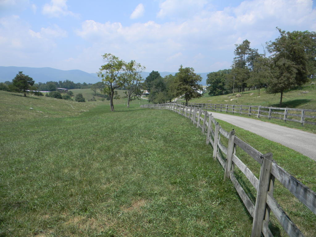 5222 Blacksburg Road Troutville, VA 24175 - Photo 6 of 38 a view of a pathway both side of grassy field with trees
