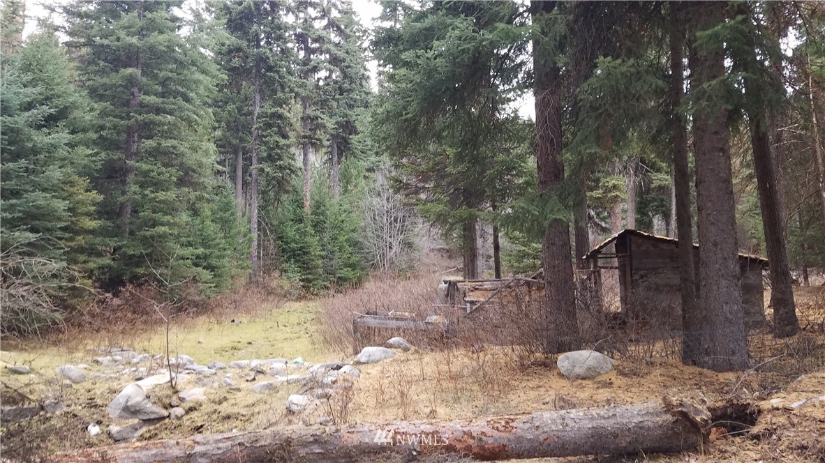 268 Turner Lake Road Tonasket, WA 98855 - Photo 10 of 17 Gallery Image 10