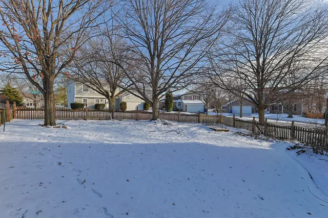 a view of a yard covered with snow on the road