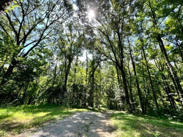 51 Robins Lake Road Natchez, MS 39120 - Photo 1 of 17 Main View