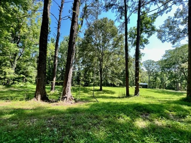 51 Robins Lake Road Natchez, MS 39120 - Photo 12 of 17 Photo 12
