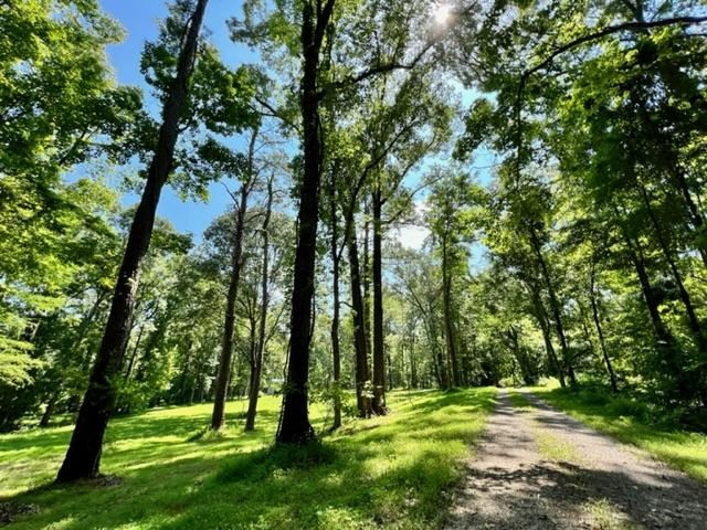 51 Robins Lake Road Natchez, MS 39120 - Photo 13 of 17 Photo 13