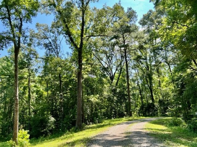 51 Robins Lake Road Natchez, MS 39120 - Photo 15 of 17 Photo 15