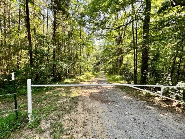 51 Robins Lake Road Natchez, MS 39120 - Photo 17 of 17 Photo 17
