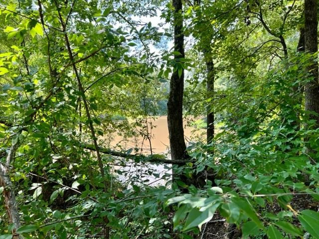 51 Robins Lake Road Natchez, MS 39120 - Photo 3 of 17 Photo 3