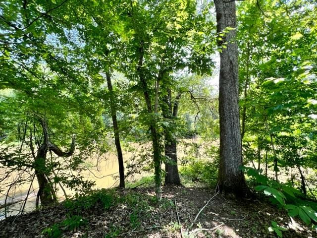 51 Robins Lake Road Natchez, MS 39120 - Photo 6 of 17 Photo 6