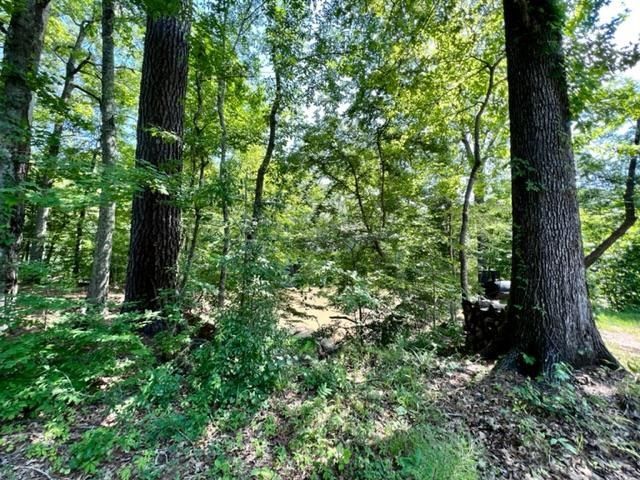 51 Robins Lake Road Natchez, MS 39120 - Photo 8 of 17 Photo 8
