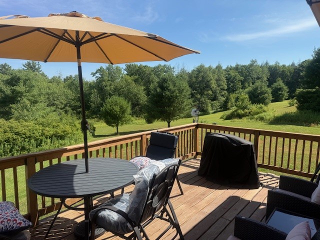 406 Tracy Road Coventry, NY 13730 - Photo 7 of 41