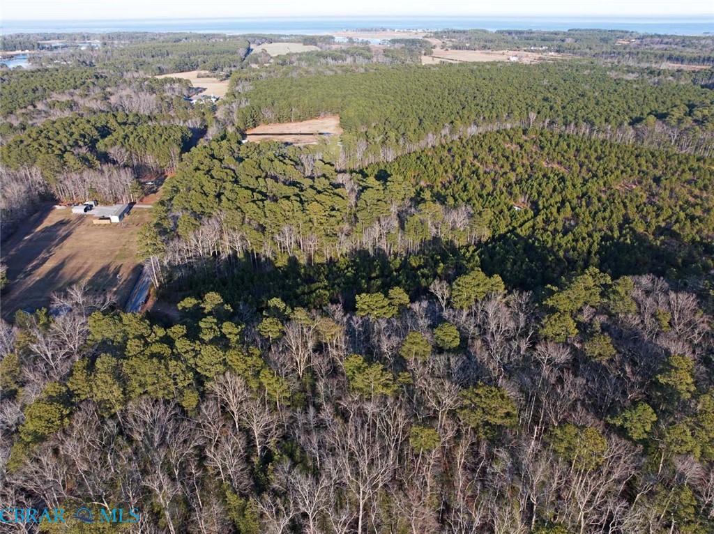 0 Salem Church Road Mathews, VA 23109 - Photo 6 of 10